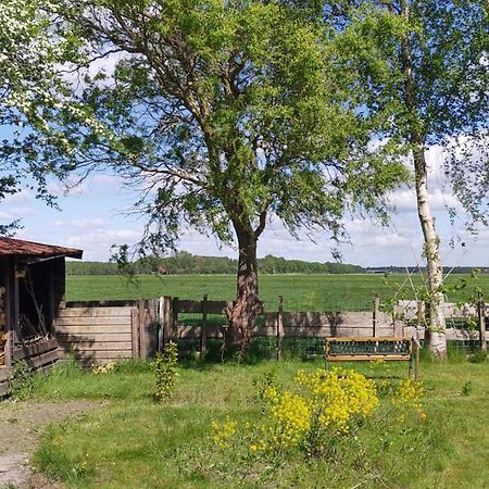 Boven De Wol Bed and Breakfast Appelscha Esterno foto