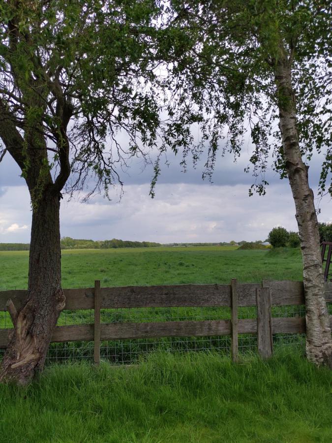 Boven De Wol Bed and Breakfast Appelscha Esterno foto