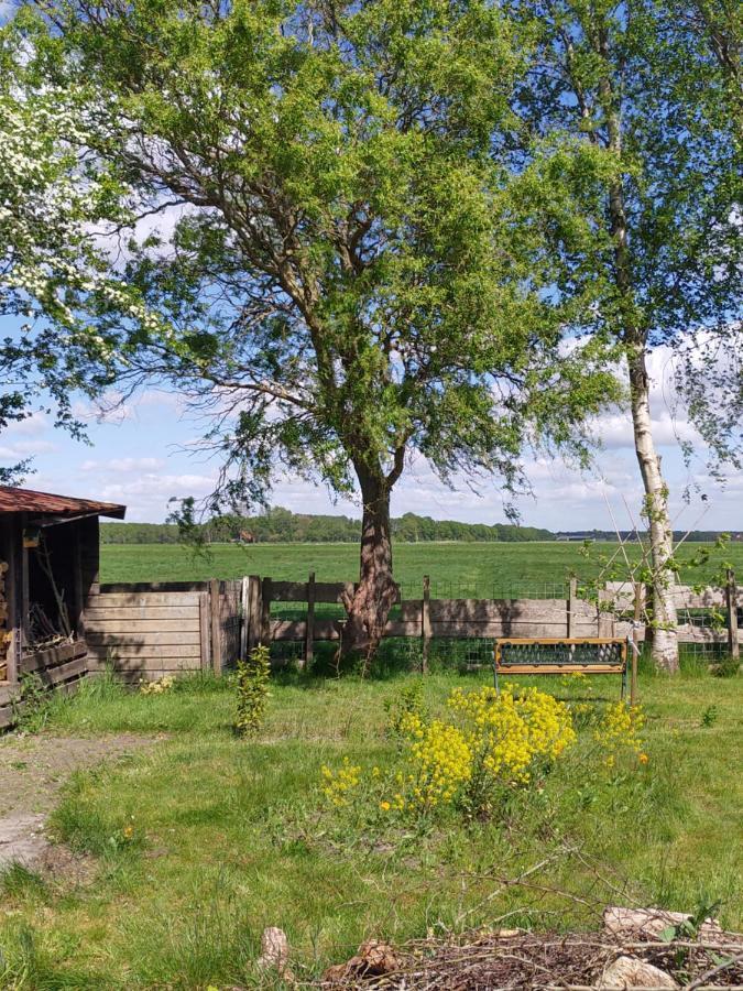 Boven De Wol Bed and Breakfast Appelscha Esterno foto