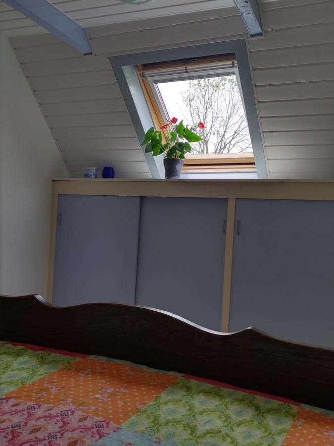 Boven De Wol Bed and Breakfast Appelscha Esterno foto